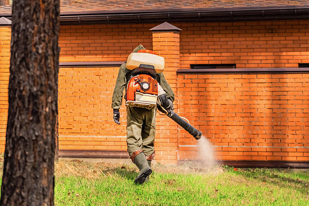 Top rated local Mosquito Control specialists in Battlement Mesa, CO